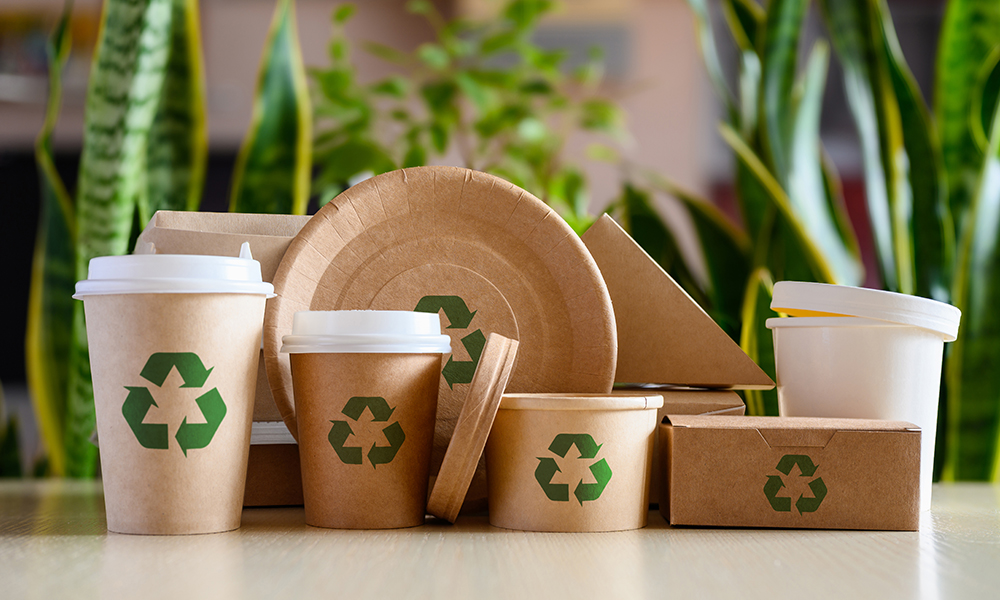 Compostable Materials in India Leading the Way in Sustainable Manufacturing
