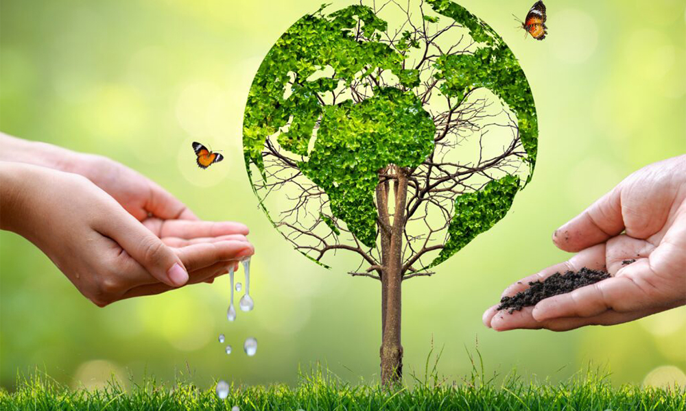 Biodegradable Materials How Indian Manufacturers Are Saving the Planet