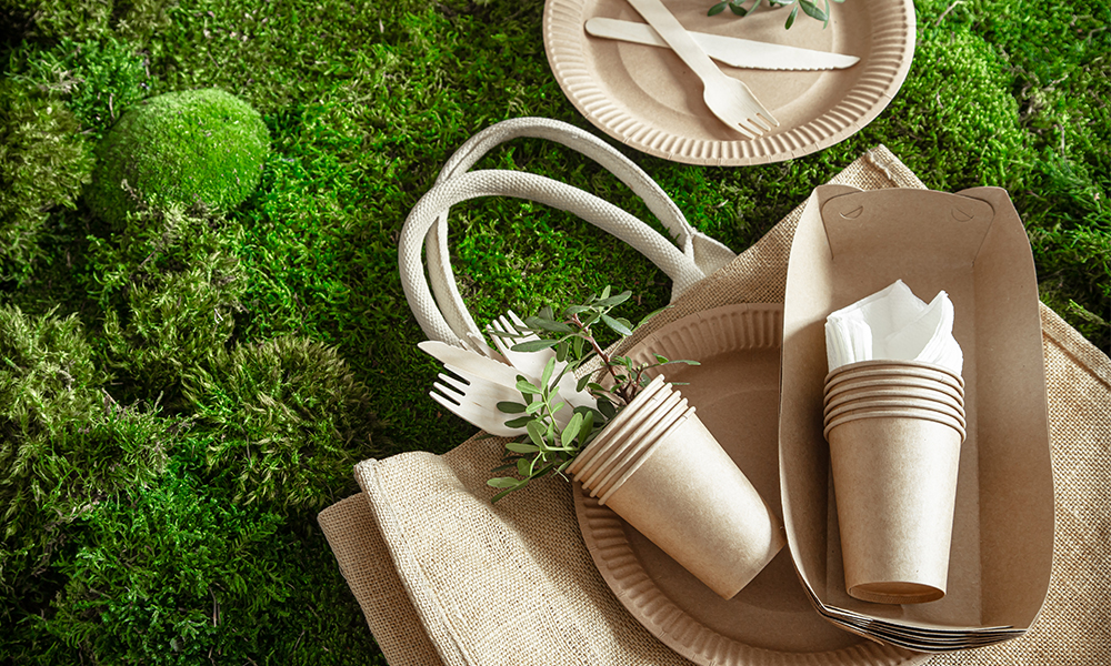 Compostable Products in India Manufacturers Leading the Green Revolution