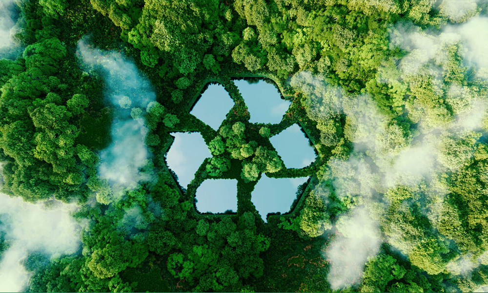 Top Biodegradable Materials Manufacturers in India Leading the Green Revolution