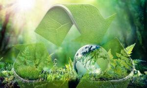 Why Bioplastics Are the Future Exploring Eco-Friendly Alternatives to Traditional Plastics