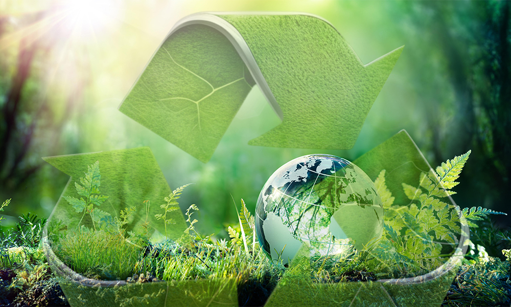 Why Bioplastics Are the Future Exploring Eco-Friendly Alternatives to Traditional Plastics