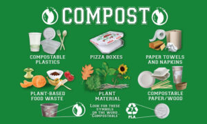 The Rise of Compostable Materials India’s Contribution to a Waste-Free Future