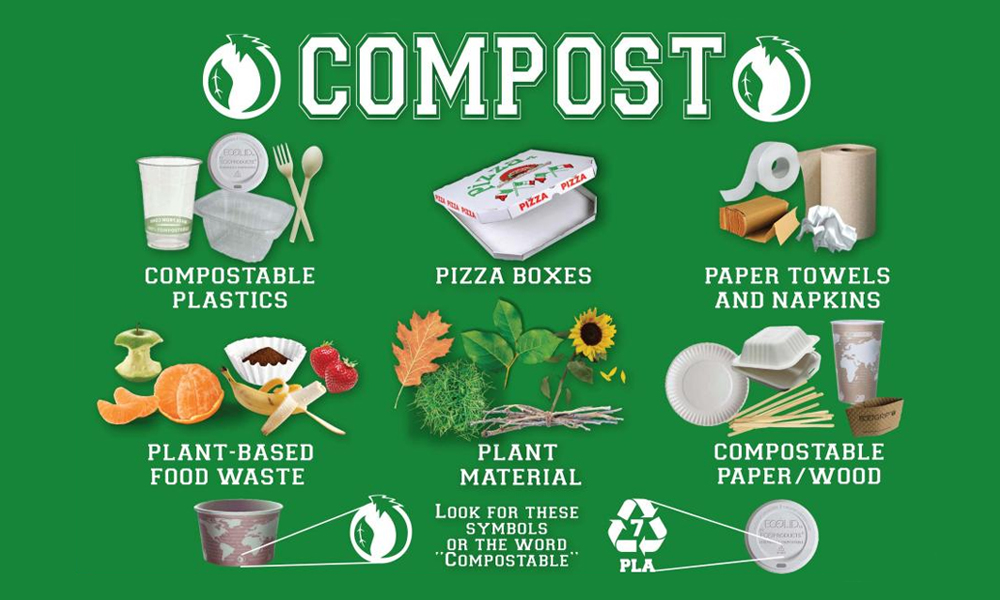 The Rise of Compostable Materials India’s Contribution to a Waste-Free Future