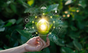 Innovative Solutions for a Greener Tomorrow Exploring India’s Role in Sustainable Material Production