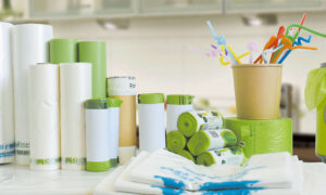 Sustainable Biopolymer Innovations Building a Greener Future for Packaging and Beyond