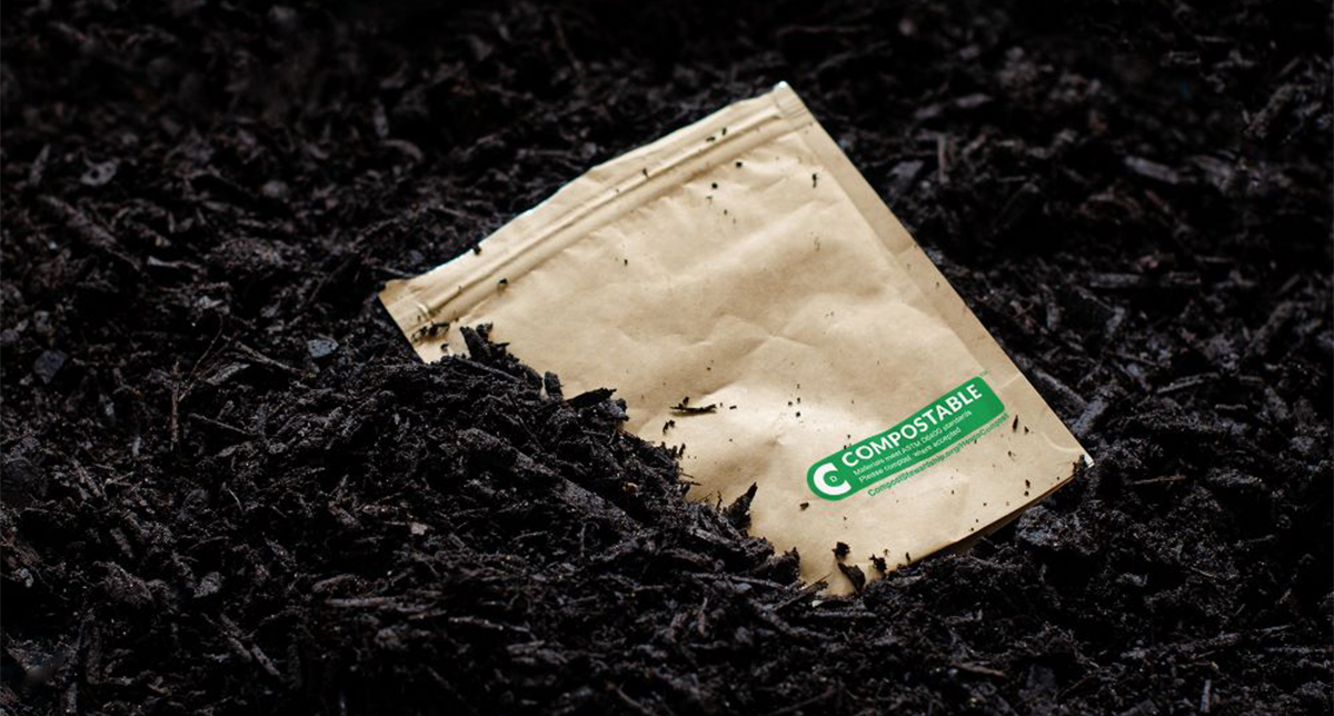 From Nature to Packaging The Unexpected Innovations Driving the Next Material Revolution