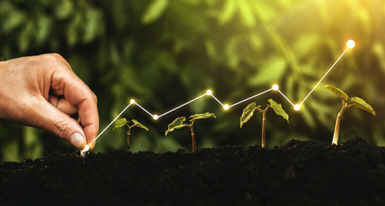 Why Plant-Based Polymers Are Becoming the Top Choice for Conscious Brands in India