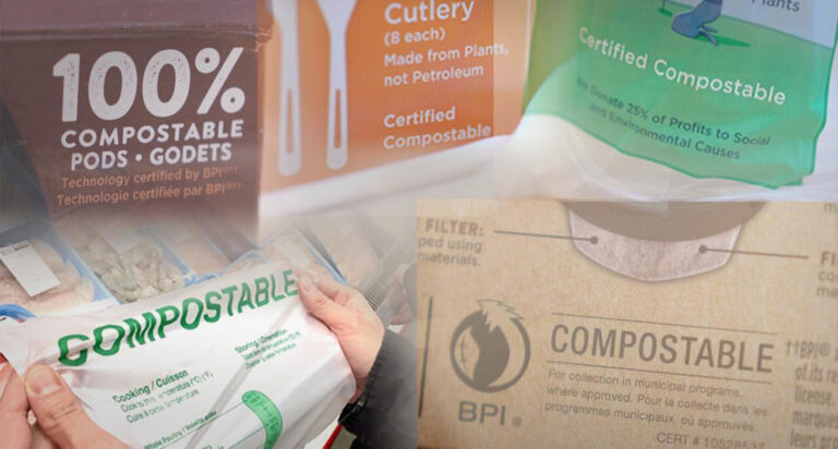 Emerging Opportunities in India’s Eco-Friendly Products Market